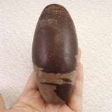 ナルマダ川産　シバリンガム　109mm　394g (ID:11310)