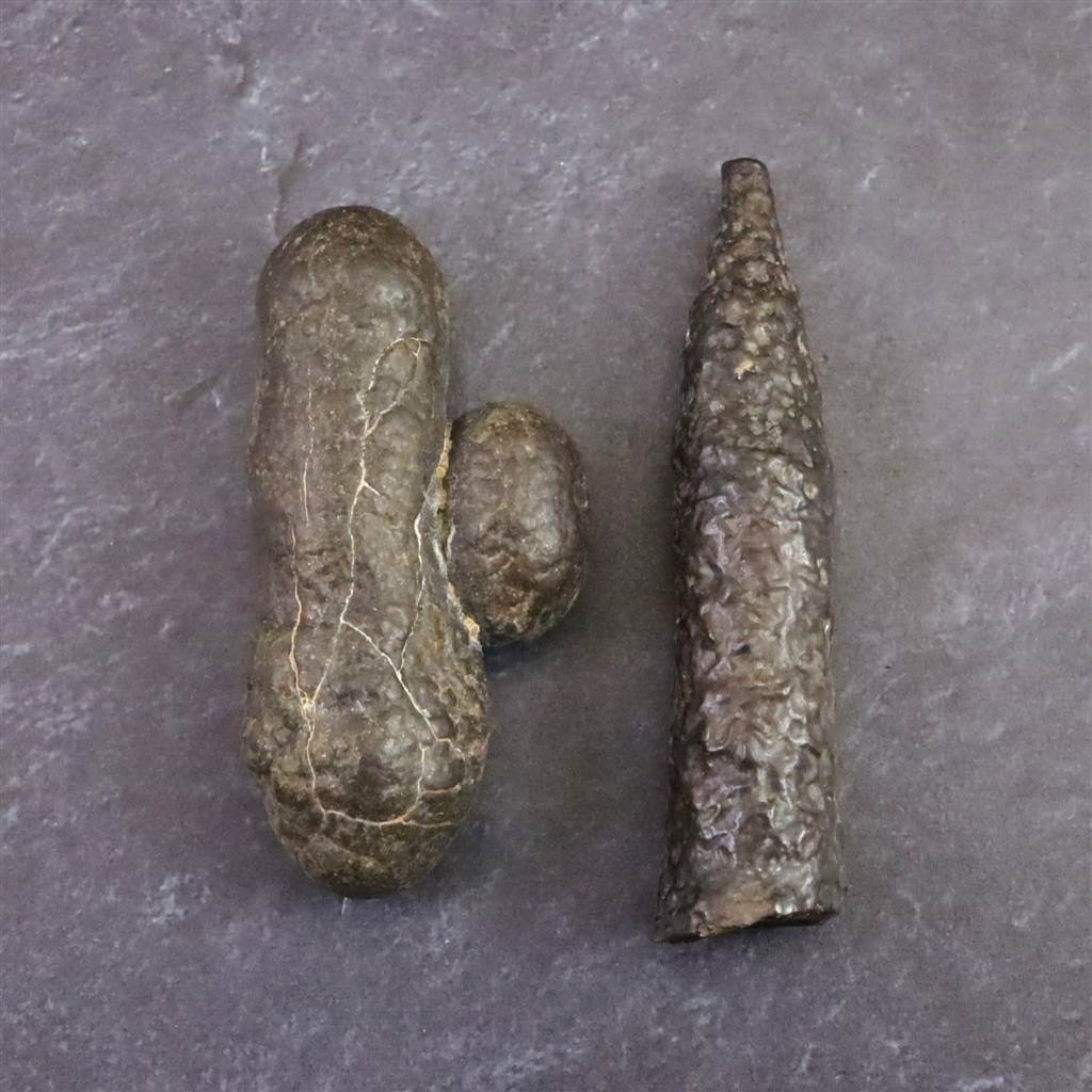 プロフェシーストーン | 榎本通商