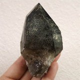 岐阜県中津川市蛭川産 黒水晶（モリオン）原石 カテドラル レコードキーパー トライゴーニック 246.22g (ID:11828)