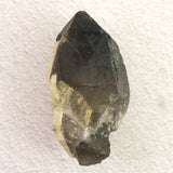 岐阜県中津川市蛭川産 黒水晶（モリオン）原石 カテドラル レコードキーパー トライゴーニック 246.22g (ID:11828)