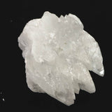 メキシコ ナイカ鉱山産 セレナイト 61mm原石 75g (ID:11899)