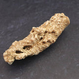 H&E社　サハラ砂漠産　フルグライト　　4.7g (ID:12406)