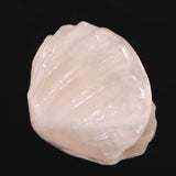 ローズクォーツ 54mm 貝殻モチーフ 彫刻置物 89ｇ (ID:12490)