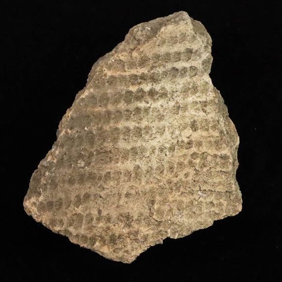 縄文土器 縄文中期 東北・北海道地域  59mm陶片  29.0g  (ID:13327)