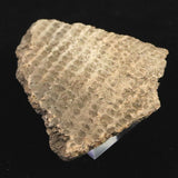 縄文土器 縄文中期 東北・北海道地域  59mm陶片  29.0g  (ID:13327)