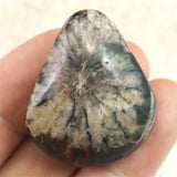 岐阜県根尾谷産 菊花石 16.2g (ID:14636)