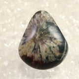 岐阜県根尾谷産 菊花石 16.2g (ID:14636)