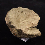 縄文土器 縄文中期 東北・北海道地域  81mm陶片  91.9g  (ID:14736)