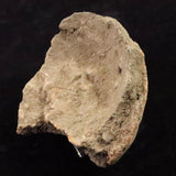 縄文土器 縄文中期 東北・北海道地域  81mm陶片  91.9g  (ID:14736)