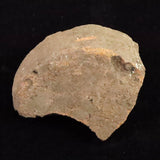 縄文土器 縄文中期 東北・北海道地域  81mm陶片  91.9g  (ID:14736)