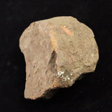 縄文土器 縄文中期 東北・北海道地域  81mm陶片  91.9g  (ID:14736)