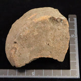 縄文土器 縄文中期 東北・北海道地域  81mm陶片  91.9g  (ID:14736)