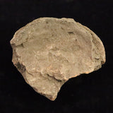 縄文土器 縄文中期 東北・北海道地域  81mm陶片  91.9g  (ID:14736)