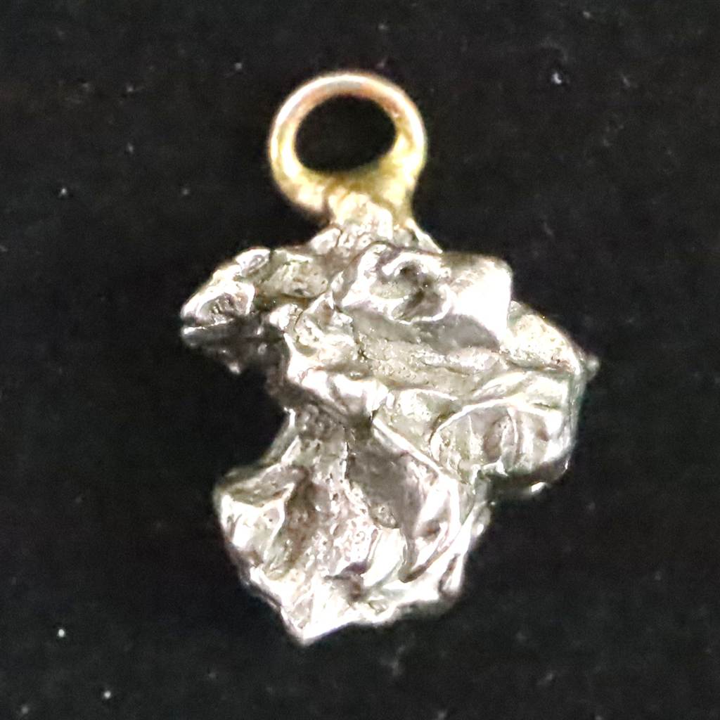 カンポ・デル・シエロ隕石 | 榎本通商