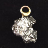 カンポ・デル・シエロ隕石 ペンダントトップ 4.8g (ID:14886)