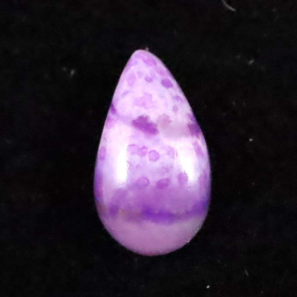 スギライト特集 | 榎本通商