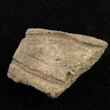 縄文土器 縄文中期 東北・北海道地域  42mm陶片  15.5g  (ID:15205)