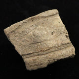 縄文土器 縄文中期 東北・北海道地域  42mm陶片  15.5g  (ID:15205)