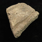 縄文土器 縄文中期 東北・北海道地域  42mm陶片  15.5g  (ID:15205)