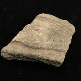 縄文土器 縄文中期 東北・北海道地域  42mm陶片  15.5g  (ID:15205)