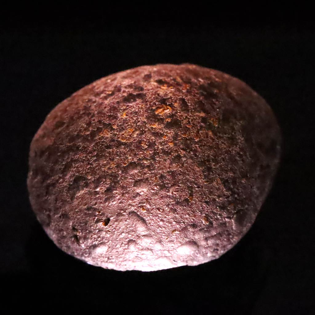 コロンビアナイト | 榎本通商