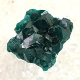 コンゴ産 ダイオプテーズ AA 翠銅鉱　原石 8.9g (ID:15772)