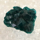 コンゴ産 ダイオプテーズ AA 翠銅鉱　原石 8.9g (ID:15772)