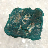 コンゴ産 ダイオプテーズ AA 翠銅鉱　原石 8.9g (ID:15772)