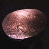 コロンビアナイト 原石 14.50g (ID:16375)