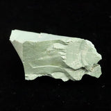 出雲碧玉 出雲石 36mm原石 ディレクトリカード付 12.4g　 (ID:17125)