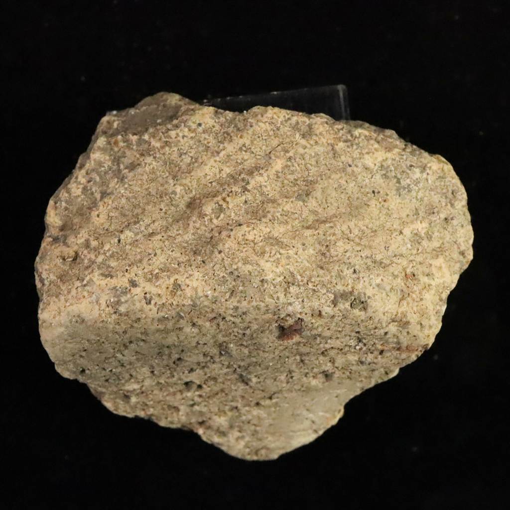 新着商品 | 榎本通商