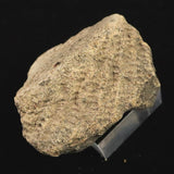 縄文土器 縄文中期 東北・北海道地域  50mm陶片  29.4g  (ID:17281)