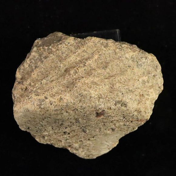 縄文土器 縄文中期 東北・北海道地域  50mm陶片  29.4g  (ID:17281)