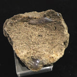 縄文土器 縄文中期 東北・北海道地域  50mm陶片  29.4g  (ID:17281)