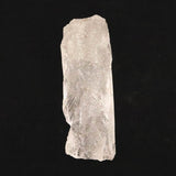 レムリアンルーツクォーツ ピュアレイ 原石 51.7g (ID:18311)