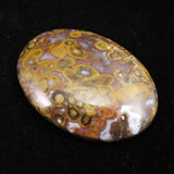 パームルーフ ジャスパー 39mmオーバル ルース 12.4g (ID:19177)