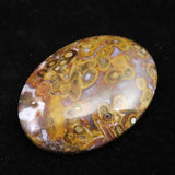 パームルーフ ジャスパー 39mmオーバル ルース 12.4g (ID:19177)