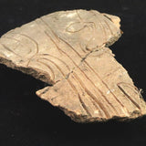 縄文土器 縄文中期 東北・北海道地域  153mm陶片   141.8g  (ID:19664)