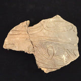 縄文土器 縄文中期 東北・北海道地域  153mm陶片   141.8g  (ID:19664)