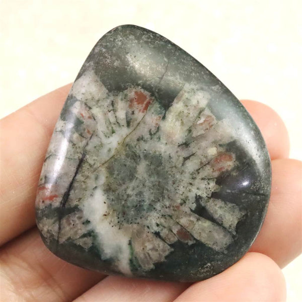 岐阜県根尾谷産 菊花石 14.8g (ID:21102) | 榎本通商