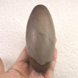 ナルマダ川産　シバリンガム　115mm　382g (ID:21307)