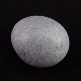 北海道檜山郡江差町産 泥岩 58mm 原石 163.3g (ID:23677)