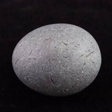 北海道檜山郡江差町産 泥岩 58mm 原石 163.3g (ID:23677)