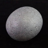 北海道檜山郡江差町産 泥岩 58mm 原石 163.3g (ID:23677)