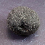 コロンビアナイト 原石 16.46g (ID:23857)