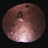 コロンビアナイト 原石 16.46g (ID:23857)