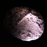 コロンビアナイト 原石 16.31g (ID:24334)