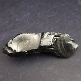 ロシア産 ノーブルシュンガイト　エリートシュンガイト　原石 23.9g (ID:24994)