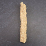 H&E社　サハラ砂漠産　フルグライト　　7.4g (ID:26041)