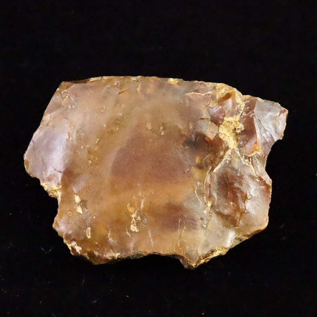 ペトリファイドウッド（珪化木）のオブジェ Petrified wood ペトリファイドウッド(珪化木・ケイカボク) 数千年〜数